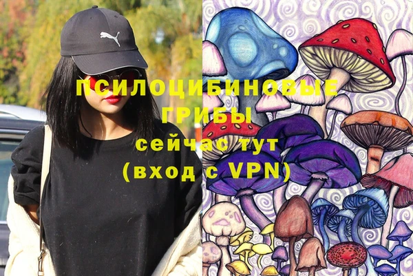 крисы Нефтекумск