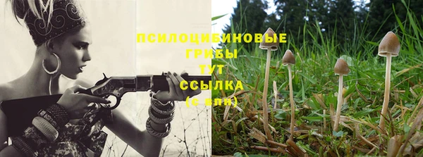 марки nbome Нефтегорск