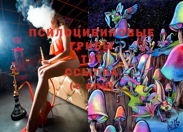 крисы Нефтекумск