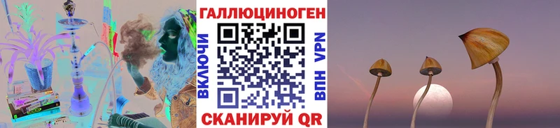 Купить где  Чебоксары  Псилоцибиновые грибы ЛСД 